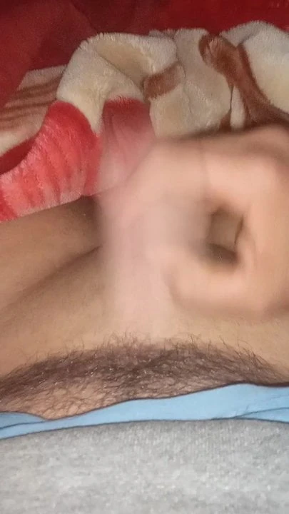 Zeb kbir