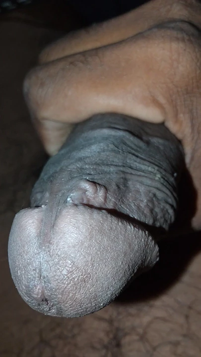 Budak desi