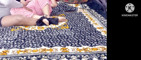 Pratinjau video