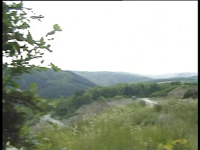 Hairless less girl gets doggysytled outdoors