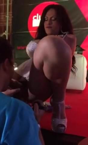 Chupando pau travesti no palco