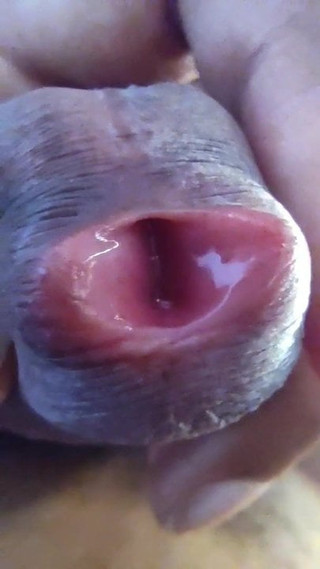 My Cock Pink Hole