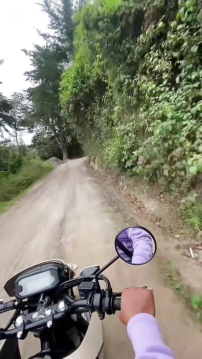 Kita mencari tempat di dalam hutan dan menghisap batangnya