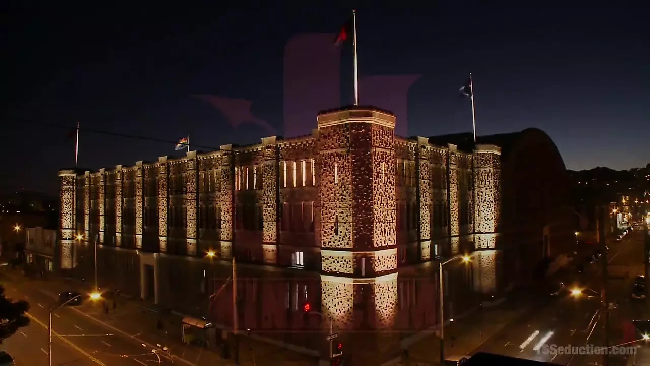 Foxxy Makes your motor run!