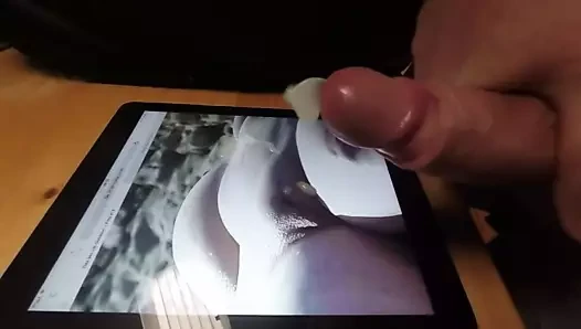 Tribute to Zuchtstute000