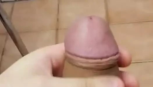 sayquackquack için