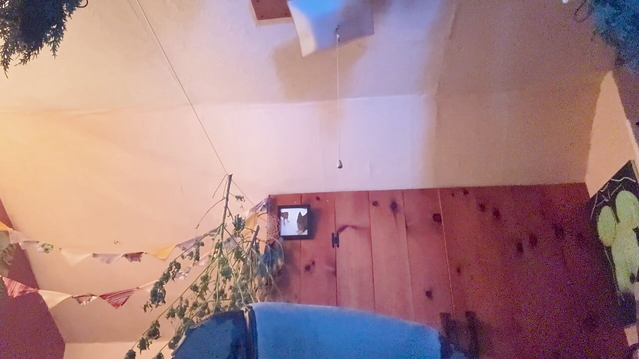 Sleduj mě - Transgender POV - Hraní her