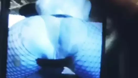 eşek ve kedi cumtribute