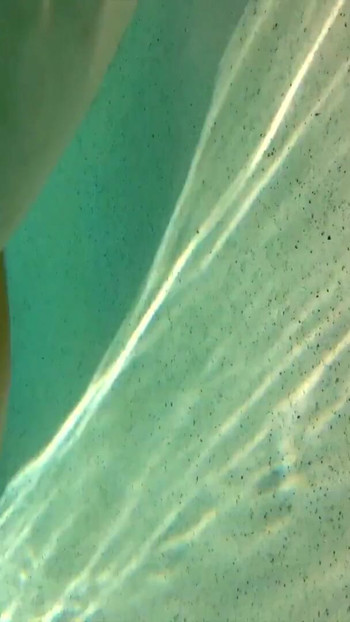 Powerful moment from "In the pool with my cock out and getting blown by the jets"