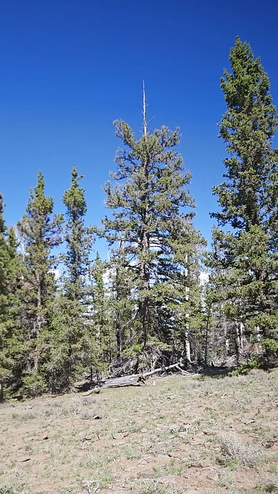 Nude in the High Country