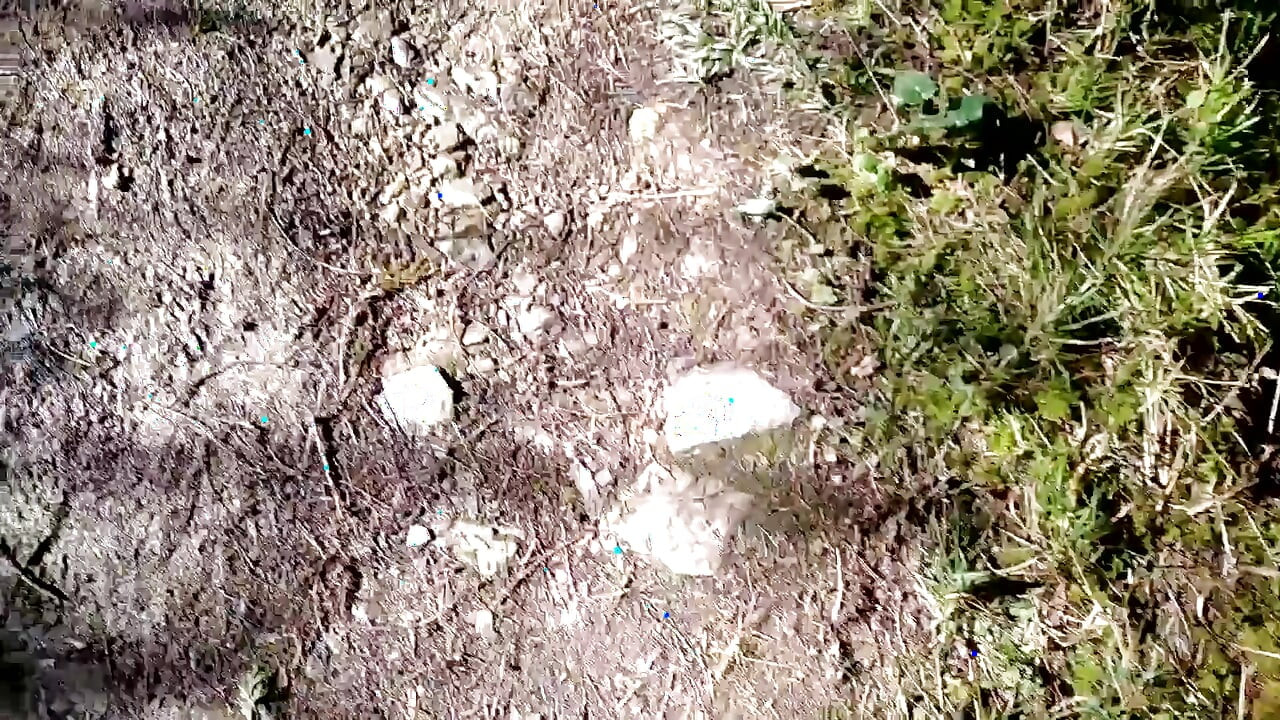 Dirty Handsome Boy Jerks His Delicious Big Cock in the Forest and the Tree Swallows His Cum
