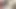 Trans Girl and Daddy Raw Fuck