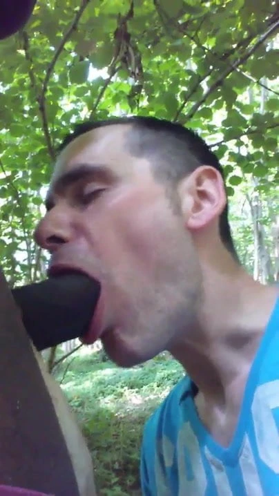 Str8 followers in the forest