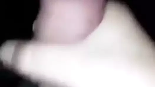 Bucko