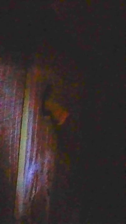 Homemade gloryhole on my fence