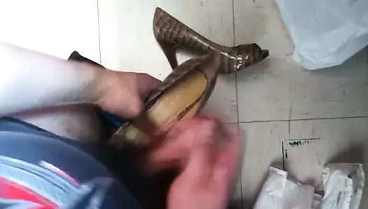 Döl dokuz batı