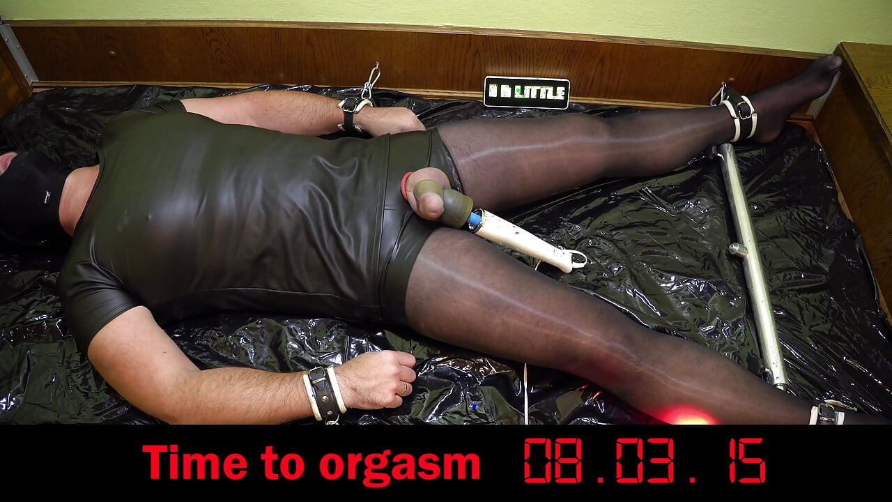 Sperm Donor Is Milked by Ai