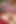 Brianna Stars mor dildosunu sikiyor