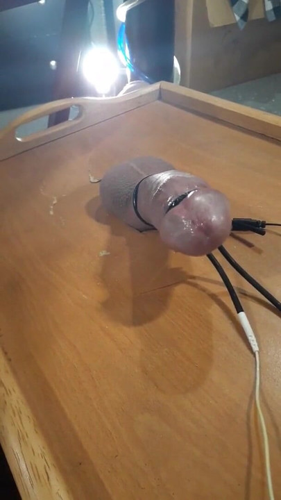 Cock milked on a dinner tray | Clip 1