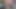 The CelineFucks From Fetlife
