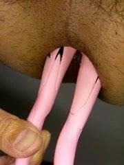 Insert into ass Mari SGa 01