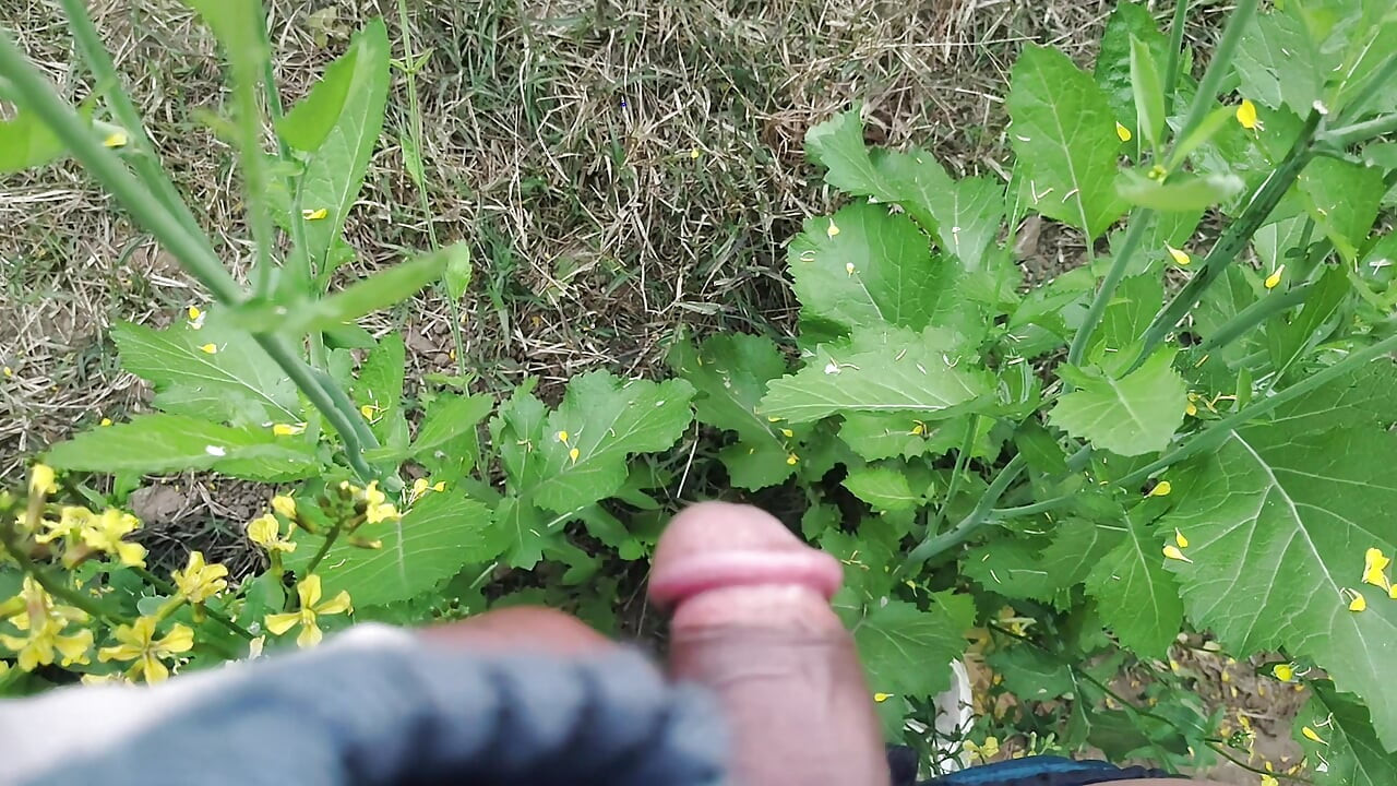 Apni madam ki chaddi se land katwaya