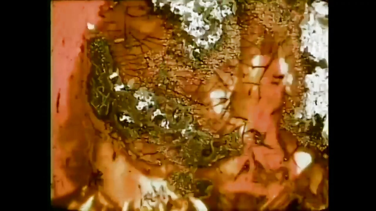 La Follia Della Mia Vagina