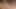 Farm Girls Gone Wild: Tits Tease and Group Masturbation on Hay