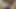 Mommy letting me cum after days