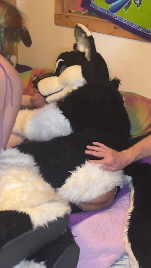 Furry Love - Cliff Media Productions | Klip 1