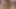 興奮した豚たちに抱かれる可愛くてセクシーな女の子