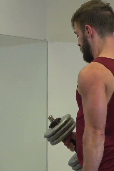 Gym Buddy Wanted