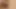 Biggest cock fucking
