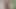 Walking Around Naked in the Woods  - My Cock and Balls Bouncing Around Outdoors