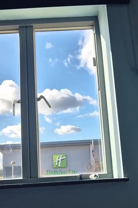 Bambi in the Window