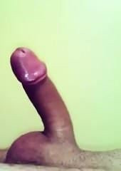 My dick erection