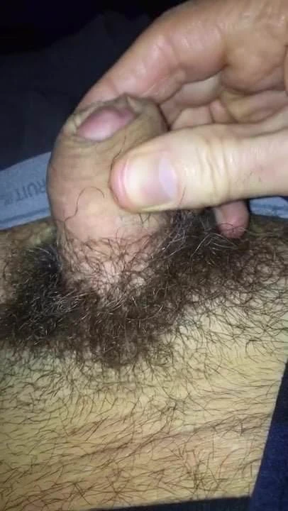 Cock