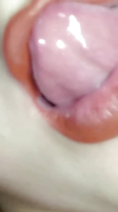 The very hot Kabyle mouth whore of tizi ouazou