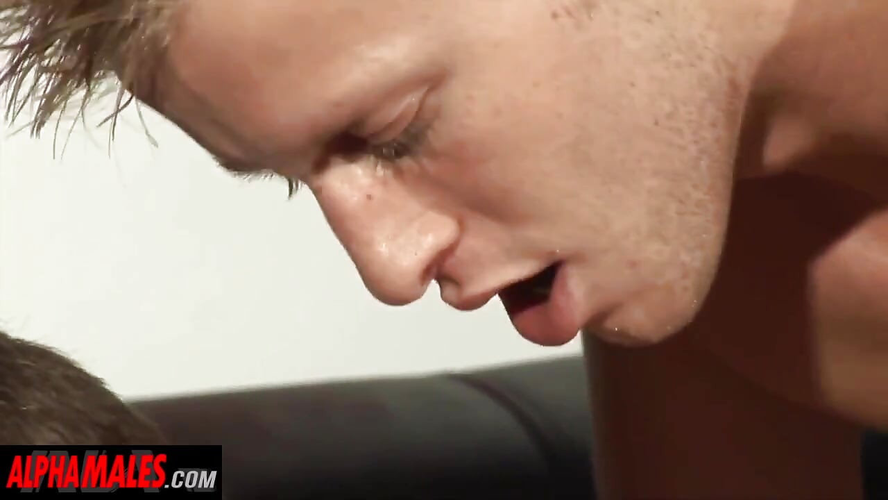 Alphamales - boys, big dicks