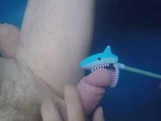 Rekin gryzie penisa