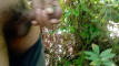 Pratinjau video
