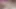 device 2 Submissive Cock Sucker Cuckold Husband