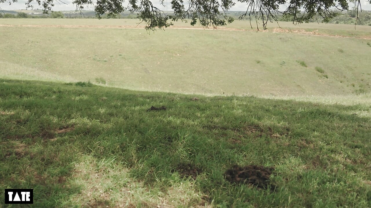 Ontmoette mijn ex en gaf uiteindelijk pijpen door de heuvels