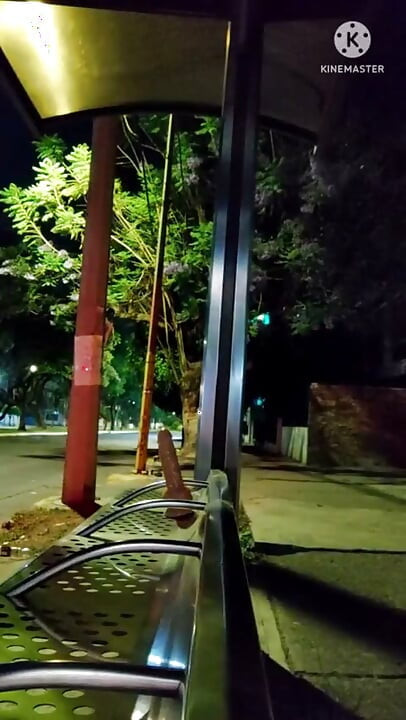 Banci nakal ini lagi asik dudukin dildo ukuran raksasa di terminal bus malam-malam saat mobil melintas