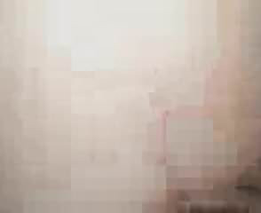 สไตล์ คน ชอบ สุนัข