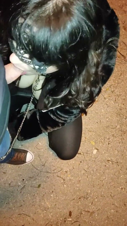 My husband took me for a walk in the park with a leash around my neck. Then he wanted me to suck his dick. | Clip 1