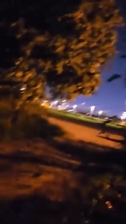 Big Dick at night beach