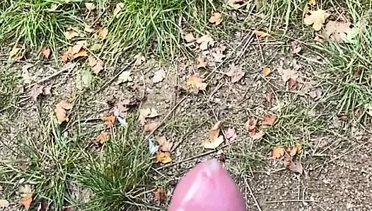 Spermkanonen