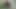 My girlfriend got naked in the park for a bet
