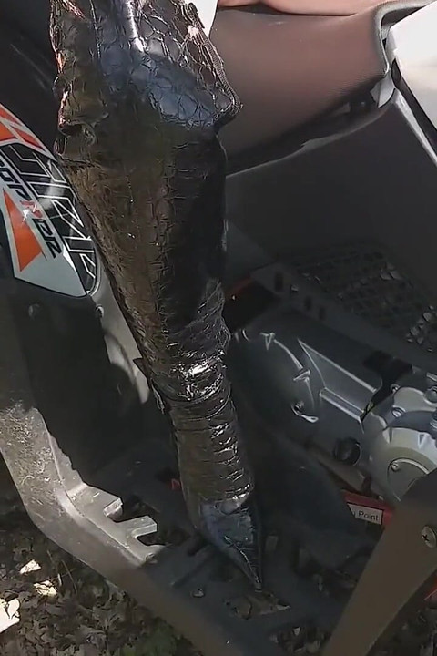 欲火中烧的德国奶奶一边走路一边寻求冒险